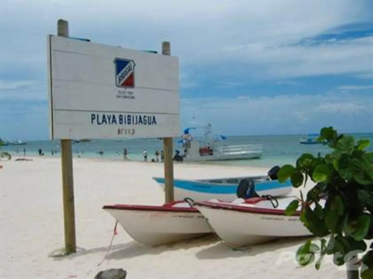 Apartamento Desiree, Vacaciones En Familia ! Hotel Punta Cana Lejlighed